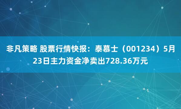 非凡策略 股票行情快报：泰慕士（001234）5月23日主力资金净卖出728.36万元