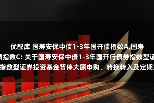 优配库 国寿安保中债1-3年国开债指数A,国寿安保中债1-3年国开债指数C: 关于国寿安保中债1-3年国开行债券指数型证券投资基金暂停大额申购、转换转入及定期定额投资业务的公告