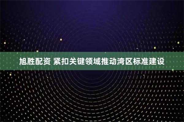 旭胜配资 紧扣关键领域推动湾区标准建设